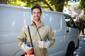 Reliable Melrose, MA Pest Control Solutions